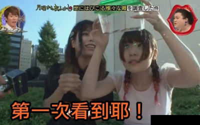 狂！北海道人第一次看到蟑螂反應竟是「好感動啊！」網友：歡迎來台灣保證你天天都感動到哭