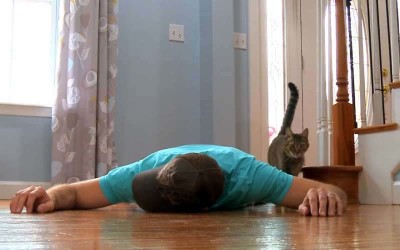 男子「裝死」測試愛貓反應，躺了幾分鐘就受不了問：你認真的嗎