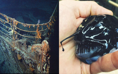 《鐵達尼號》大導演深潛11000公尺海溝「挖掘驚人景象」！網驚：深海魚類根本異.形