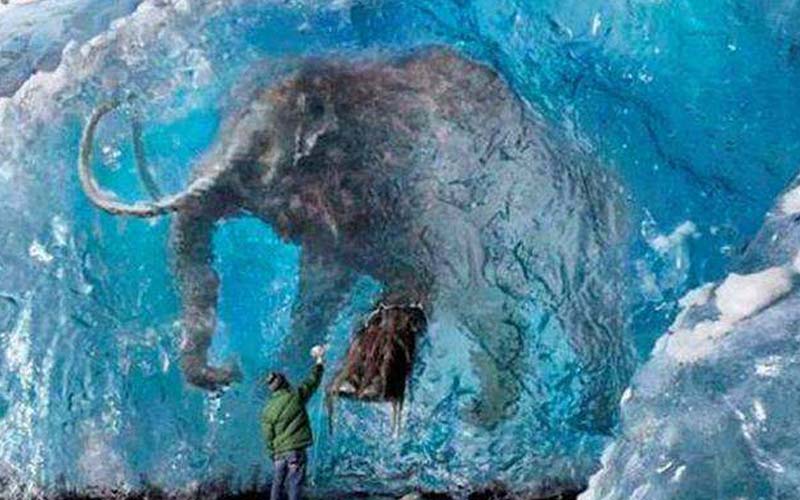 科學家從凍土裡挖出猛獁象，自信宣布「會在20年內讓猛獁象復活」！