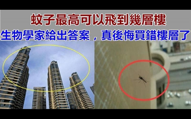 蚊子最高可以飛到幾層樓？生物學家分析出結論...你房子買對樓層了嗎？