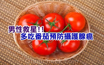 《科學小知識》男人照過來～多吃番茄，可預防攝護腺癌