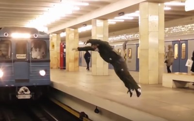 俄羅斯男子看到列車後「突然整個人從月台跳出去」，接著下一秒的畫面…瘋了