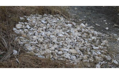 中國人到日本「盜採牡蠣」留下100噸垃圾  日本教授傻眼：這些是毒牡蠣